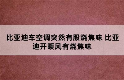 比亚迪车空调突然有股烧焦味 比亚迪开暖风有烧焦味